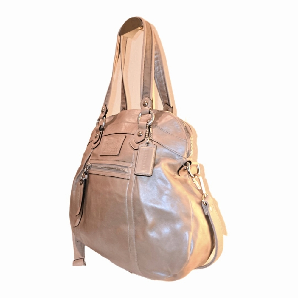 Coach Poppy Pearlescent Spotlight Limited Edition Crossbody Satchel Bag
